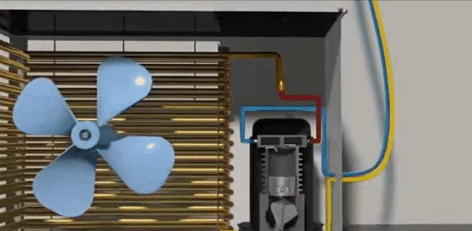 动12.gif