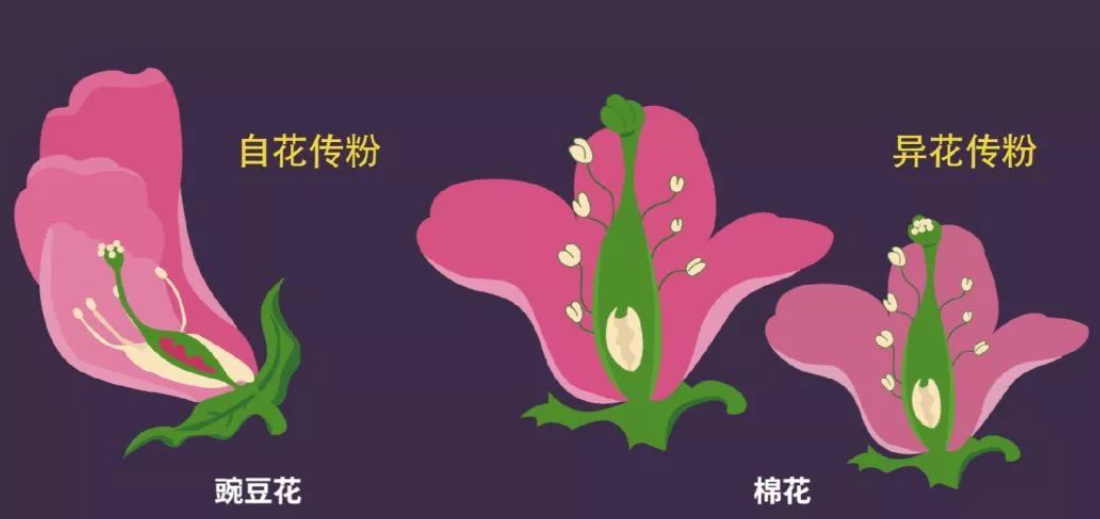 云章网-推荐给您想看的经典数理化、科学、励志好文章