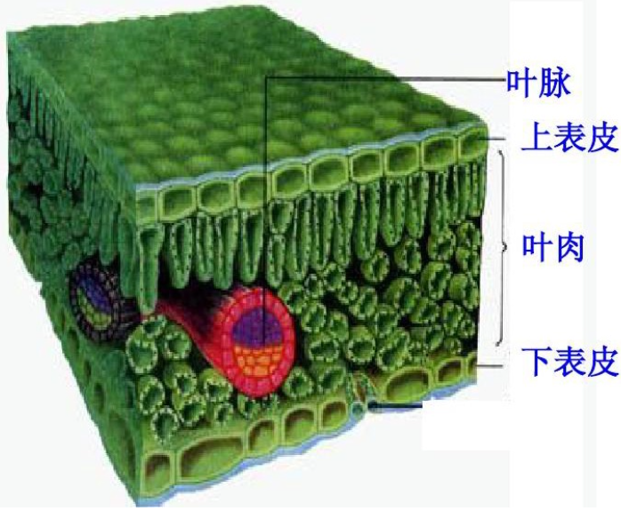 云章网-推荐给您想看的经典数理化、科学、励志好文章
